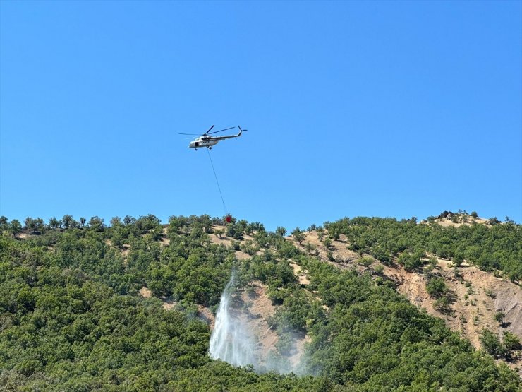 Bingöl'de ormanlık alanda çıkan yangın kontrol altına alındı