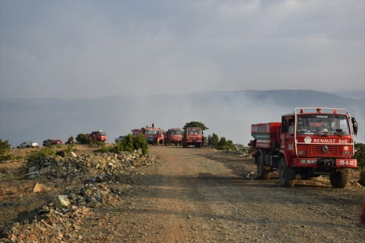 Eskişehir'de çıkan orman yangını kontrol altına alındı