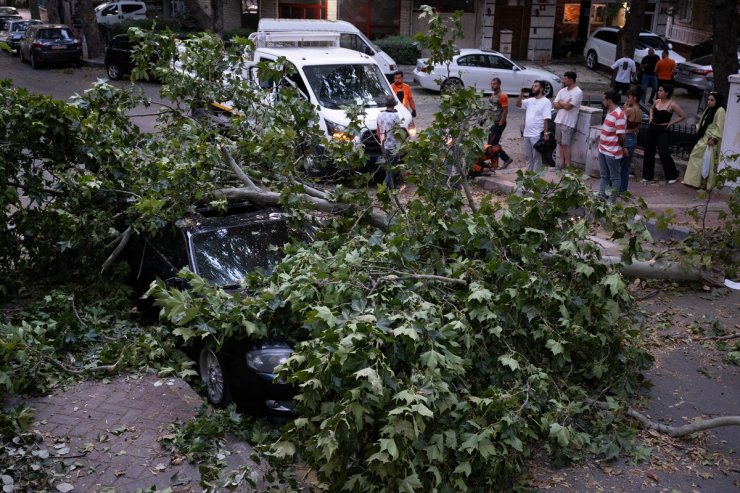 Ankara'da rüzgarın etkisiyle devrilen ağaç park halindeki otomobile zarar verdi