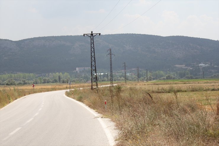 Kütahya'da elektrik direğinde akıma kapılan 50'ye yakın leylek telef oldu