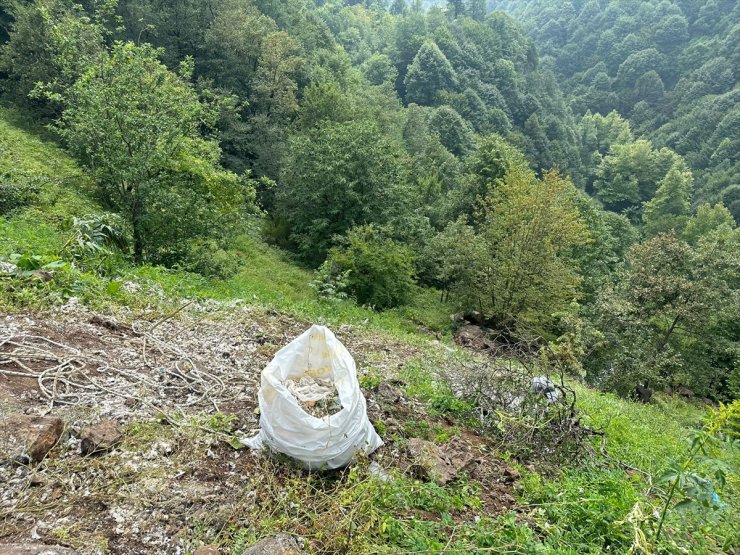 Kocaeli'de ormana tıbbi sarf malzemesi döken firmaya 812 bin lira ceza kesildi