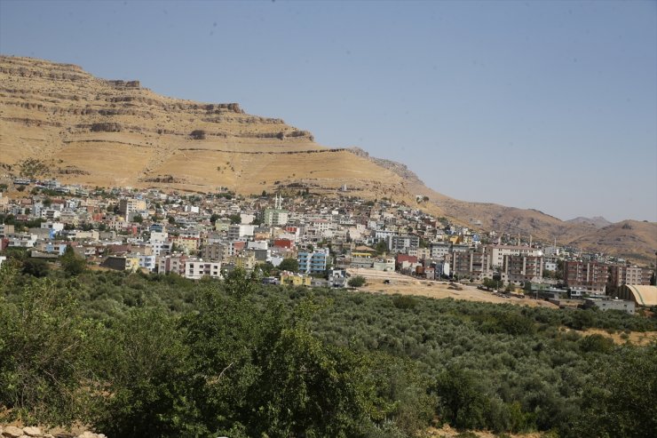 Mardin'de 21 kişinin öldüğü kazada yaralananlar ve ölenlerin yakınları o günü unutamıyor