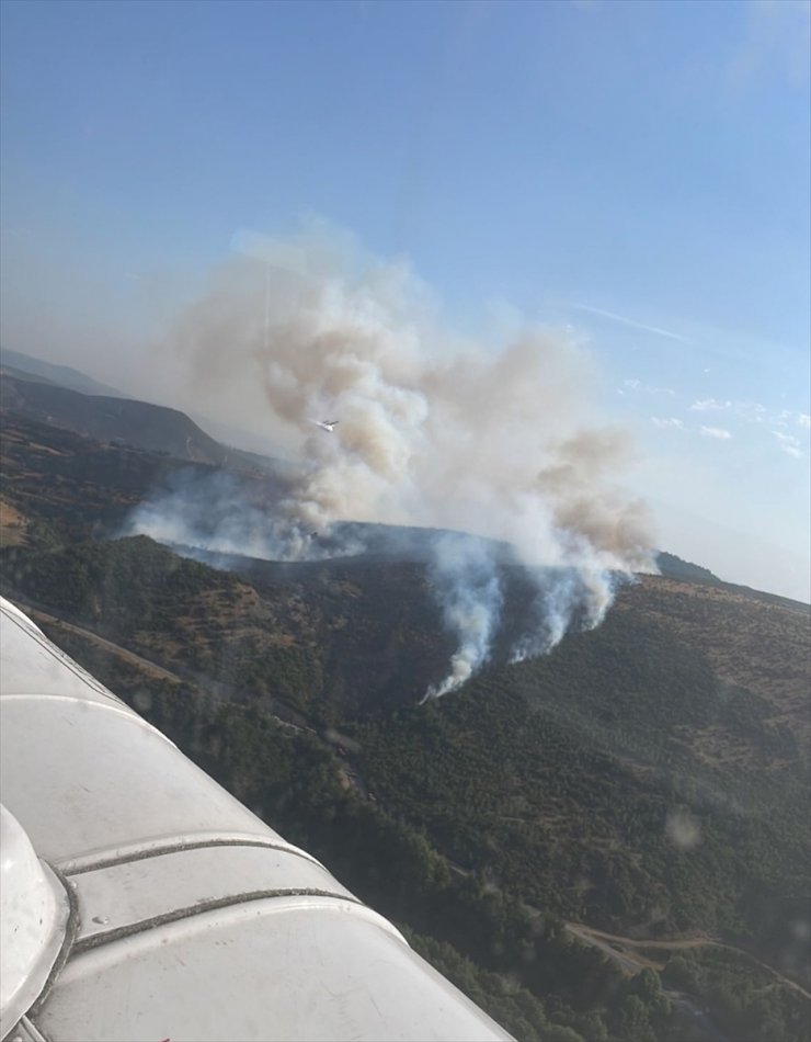 Balıkesir'in Kepsut ilçesinde orman yangını çıktı