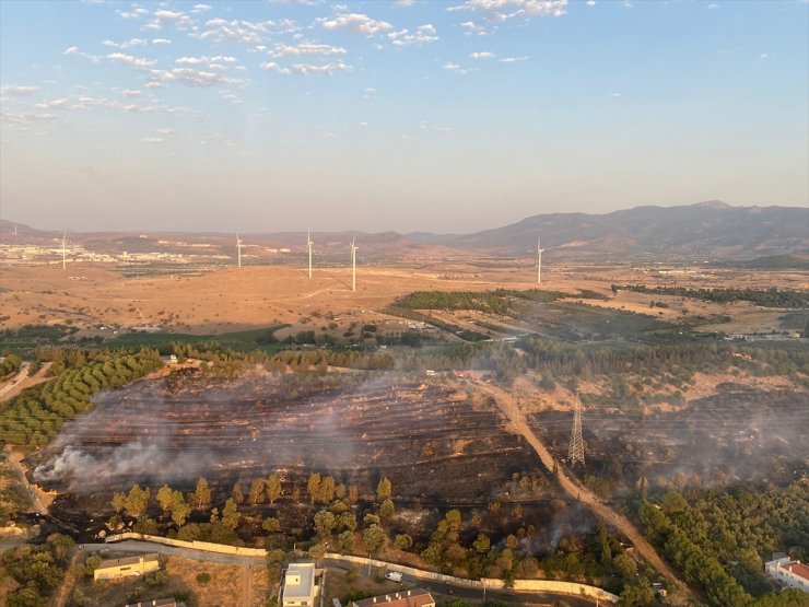 İzmir'in Aliağa ilçesinde orman yangını çıktı