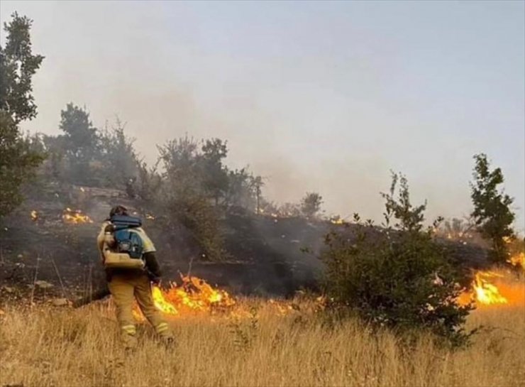 Şırnak’ta ormanlık alanda çıkan yangın söndürüldü