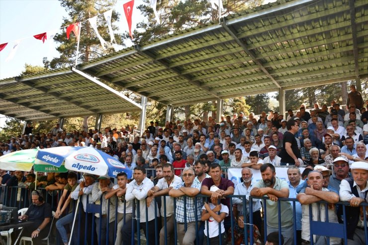 17. Kunduz Yağlı Güreşleri'nde başpehlivanlığı Özkan Yılmaz kazandı