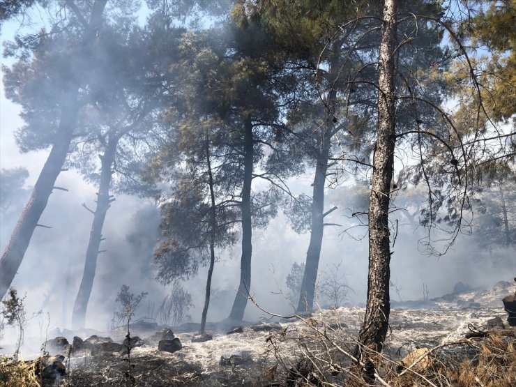 İzmir'de ormanlık alanda çıkan yangın kontrol altına alındı