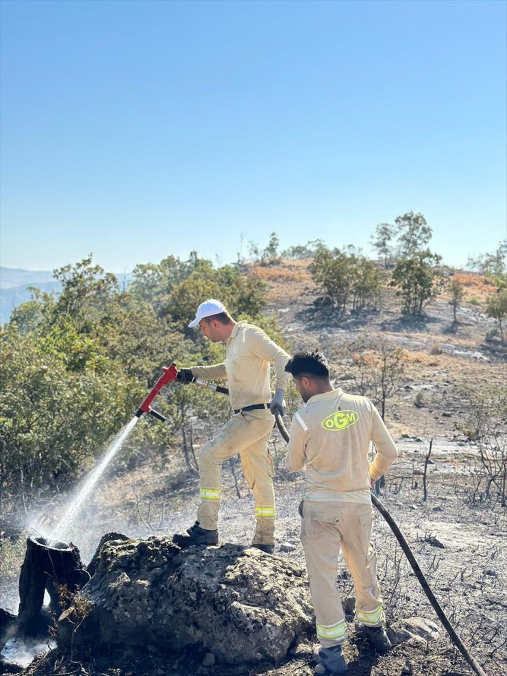 Siirt'te ormanlık alanda çıkan yangın kontrol altına alındı