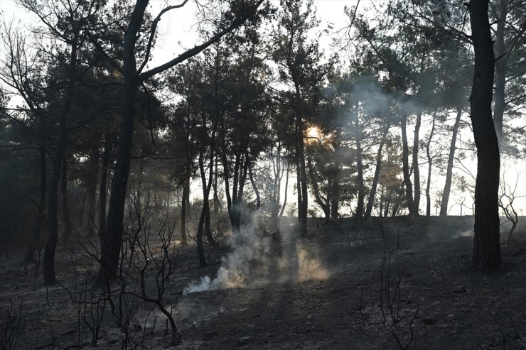 Çanakkale'de orman yangınını söndürme çalışmaları devam ediyor