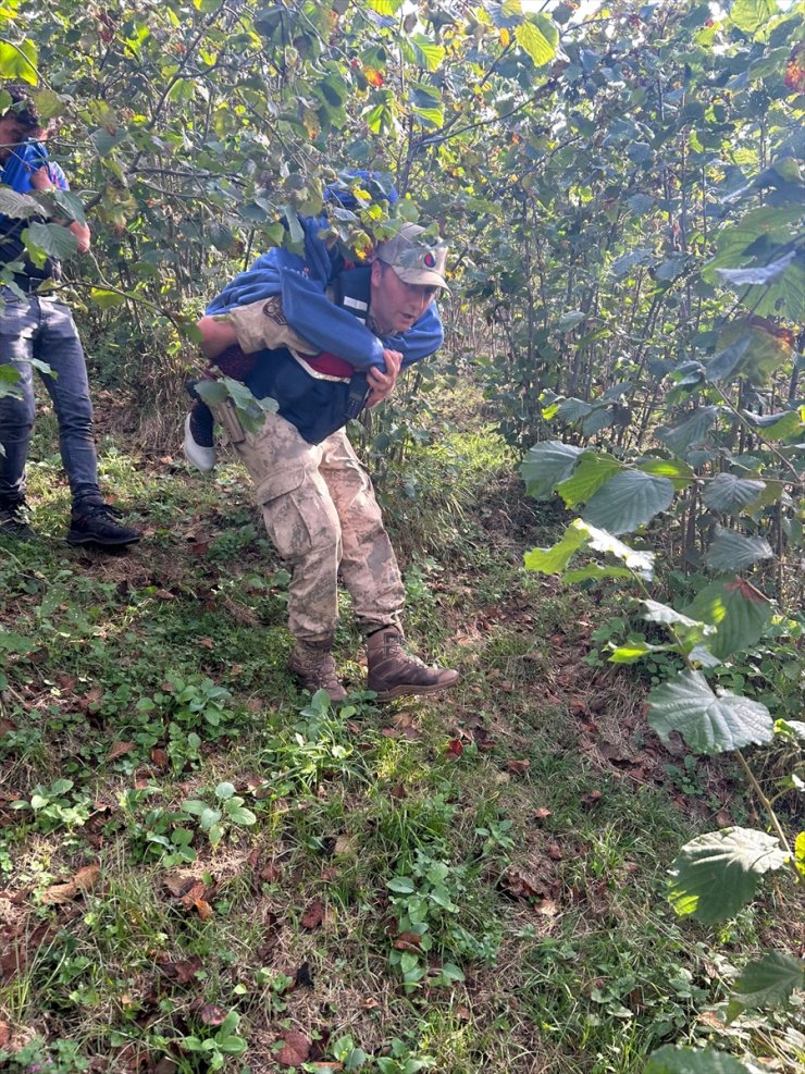 Ordu'da kayıp olarak aranan yaşlı kadın fındık bahçesinde bulundu