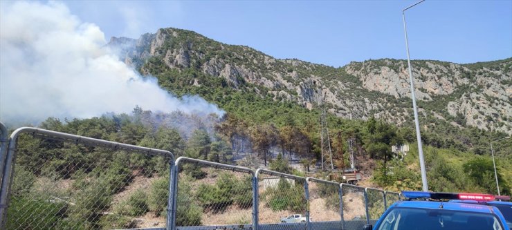 Bilecik'te çıkan orman yangınına müdahale ediliyor