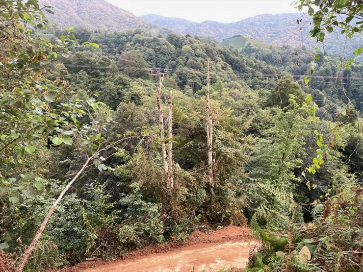 Rize'de şiddetli yağışların ardından hasar tespiti sürüyor