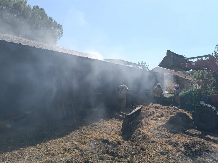 İzmir'de samanlık yangınında 2 hayvan telef oldu, 22 hayvan yaralandı