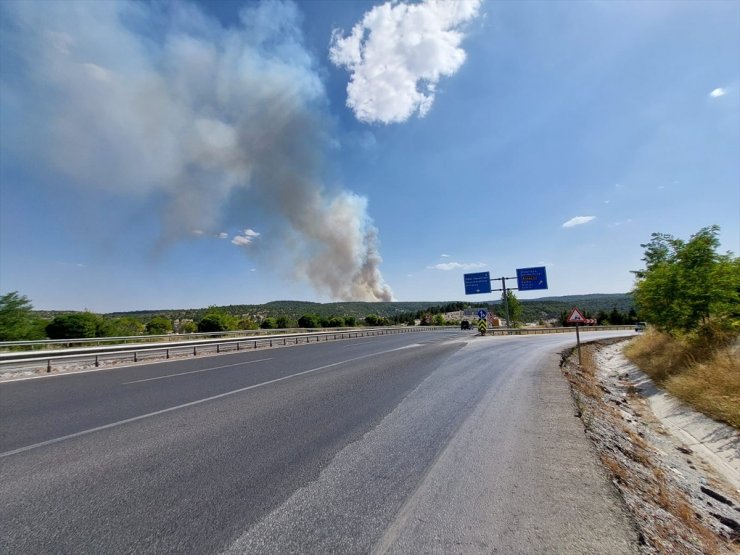 Kütahya'da çıkan orman yangınına müdahale ediliyor