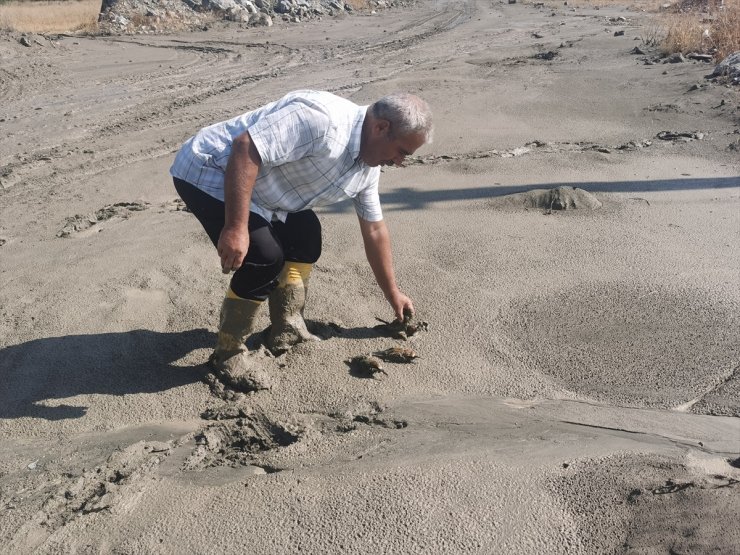 Erzincan'daki taşkında balçığa saplanan arı kuşları kurtarıldı