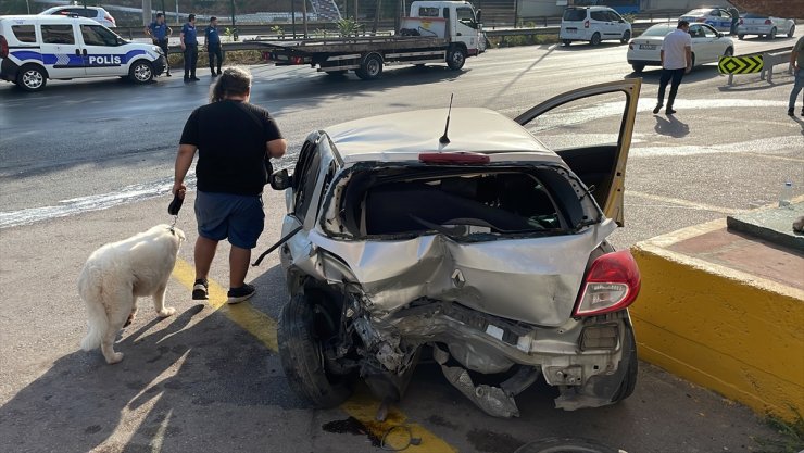 Pendik'te iki otomobilin çarpıştığı kazada korkan köpek araçtan çıkmadı