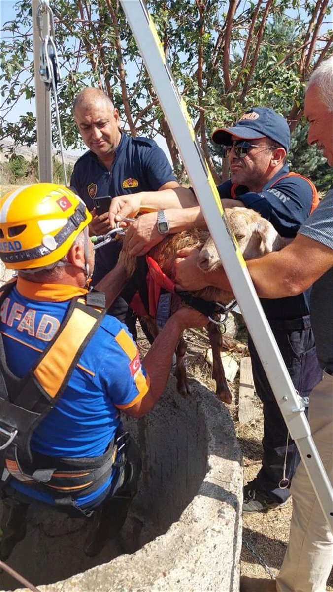 Kırıkkale'de su kuyusuna düşen keçiyi AFAD ve itfaiye kurtardı