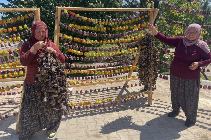 Kurutmalıklarla süsledikleri kooperatif bahçesinde ekonomiye katkı sağlıyorlar