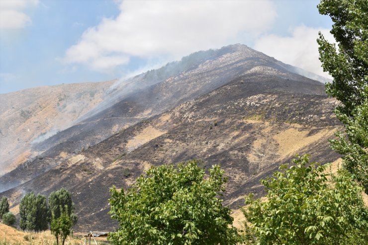 Bitlis'te çıkan örtü yangınında 12 hektar alan zarar gördü