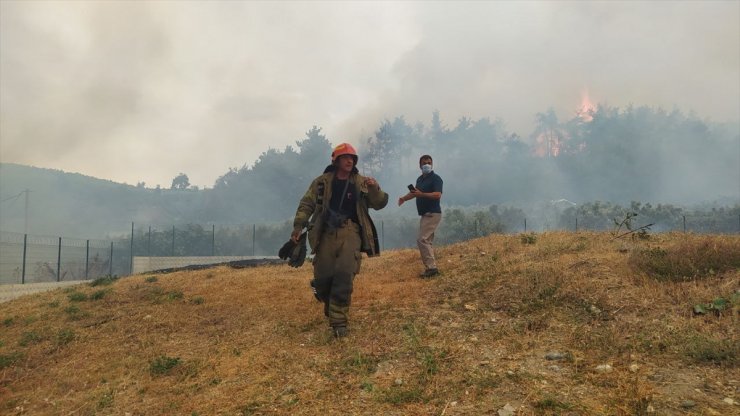 GÜNCELLEME - Bursa'da çıkan orman yangınına müdahale ediliyor