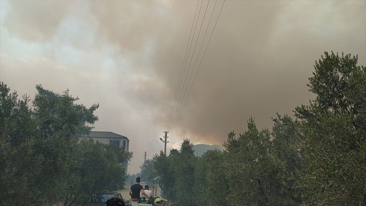 Bursa'da çıkan orman yangınına müdahale ediliyor