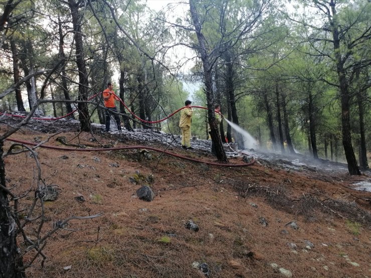 Çorum’da ormanlık alanda çıkan örtü yangını söndürüldü