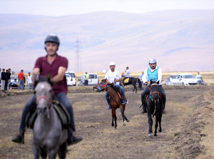 Ardahan'da "9. Rahvan At Yarışları ve 7. Doğu Anadolu Şampiyonası" yapıldı