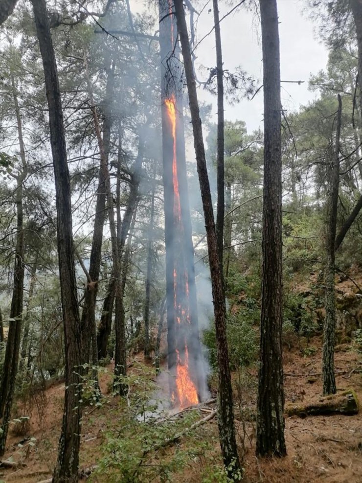 Muğla'da dün yıldırımlar 36 yerde yangına neden oldu