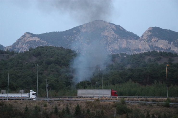 Adana'da yanan araçtan ormana sıçrayan alevler söndürüldü