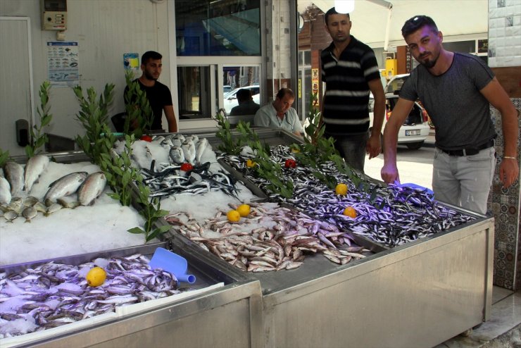 Yeni başlayan av sezonunda tezgahlar hamsiyle doldu