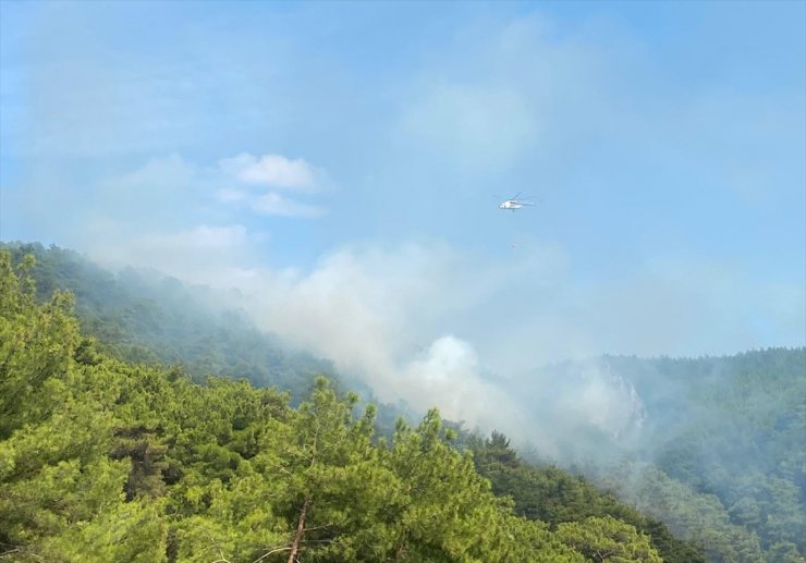 Kazdağları'nda orman yangını çıktı