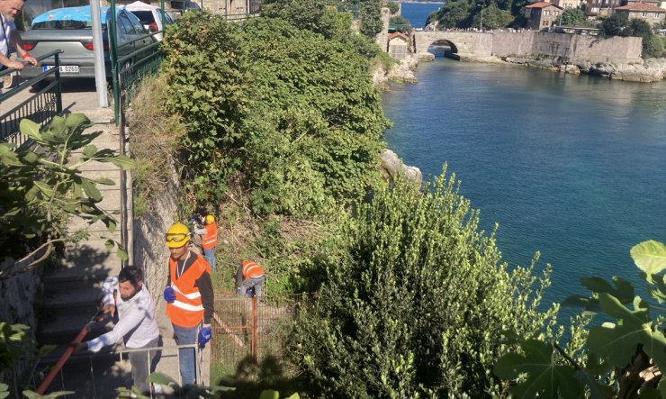 3 bin yıllık Amasra Kalesi'ne zarar veren ağaç kökleri temizleniyor