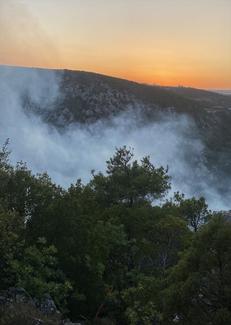 Bilecik'te yıldırım isabet etmesi sonucu çıkan orman yangınına müdahale ediliyor