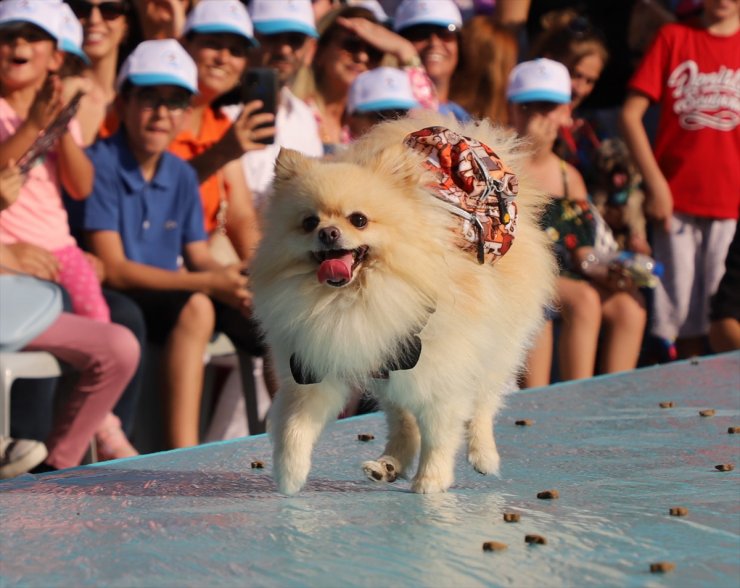 Denizli'de "Pati Festivali" yapıldı