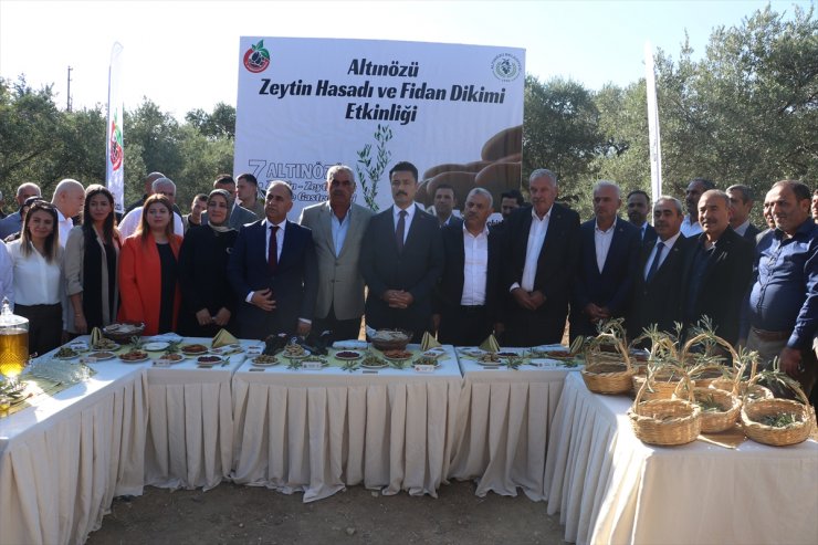 Hatay'da "7. Altınözü Zeytin, Zeytinyağı ve Gastronomi Festivali" düzenlendi