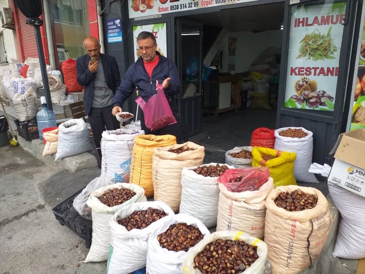 Zonguldak'ta kestane pazara indi