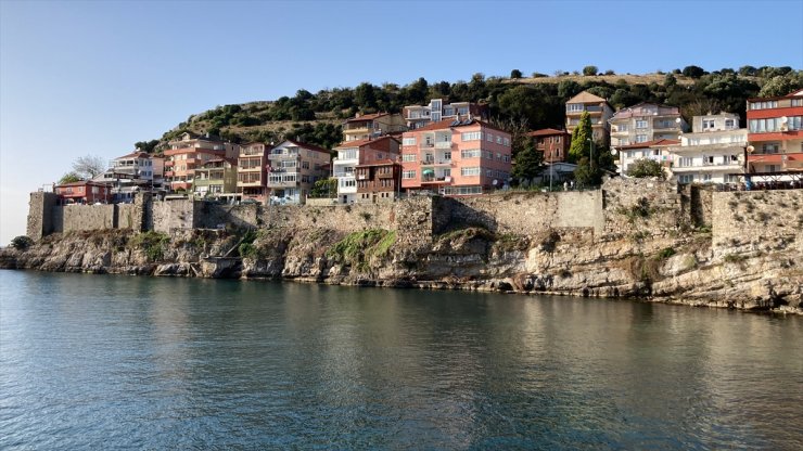 Amasra Kalesi'nin surlarına zarar veren bitki ve ağaçlar temizleniyor