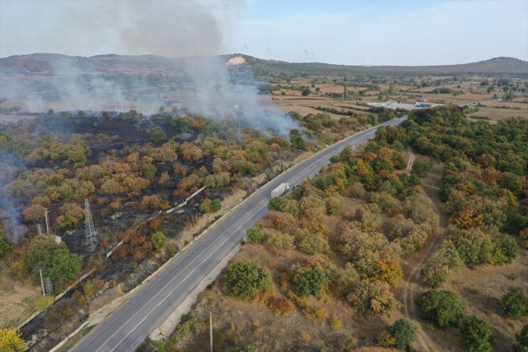 Edirne'de sınır kapısı yolu kenarında başlayıp ağaçlık alana sıçrayan yangın söndürüldü