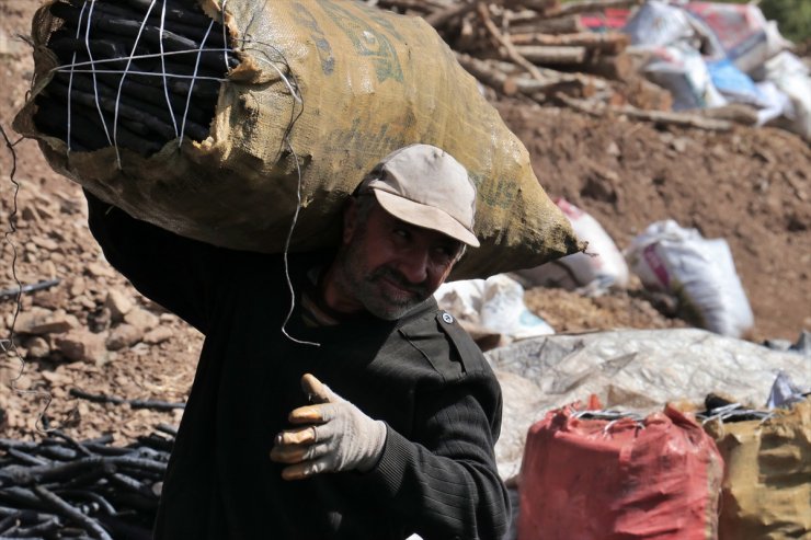 Mangal kömürü için 1800 rakımlı yaylada yaklaşık 5 ay mesai yapıyorlar