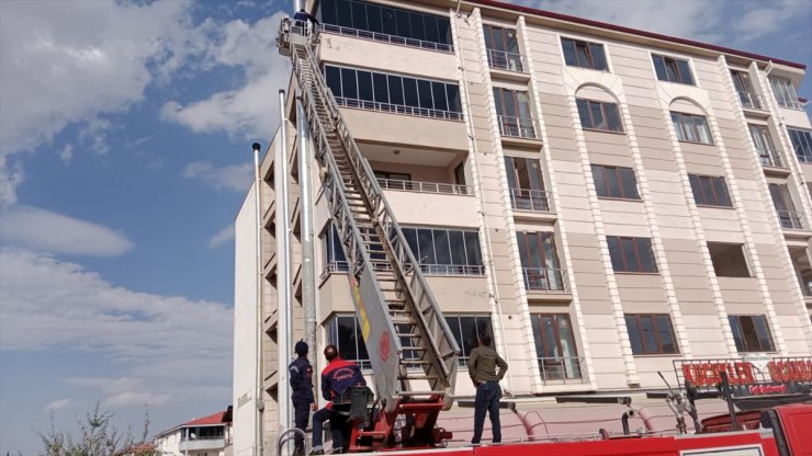 Kahramanmaraş'ta ağır hasarlı binada mahsur kalan kediyi jandarma kurtardı