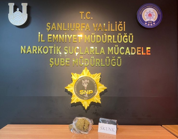 Şanlıurfa'da 3 kilo 270 gram skunk ele geçirildi