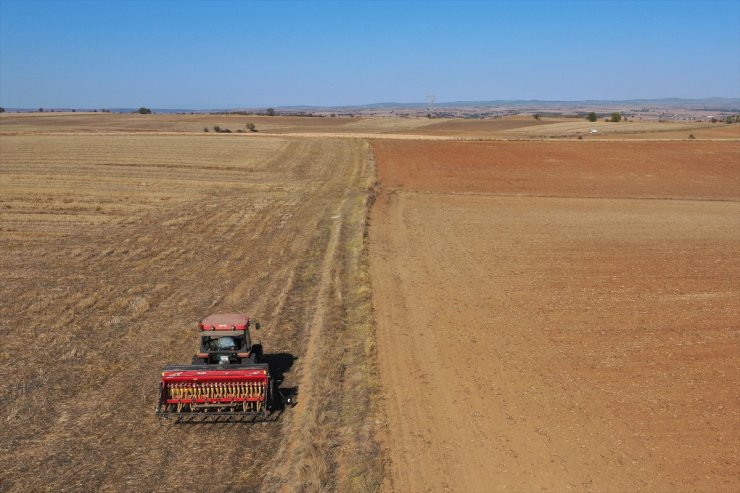 Edirne'de çiftçiler buğday tohumlarını bu yıl da kuru toprağa ekiyor