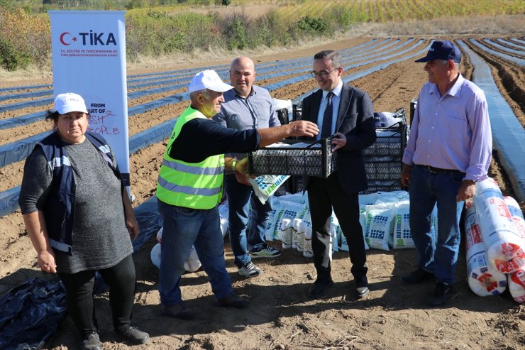 TİKA'dan Kuzey Makedonya'daki çilek yetiştiricilerine destek