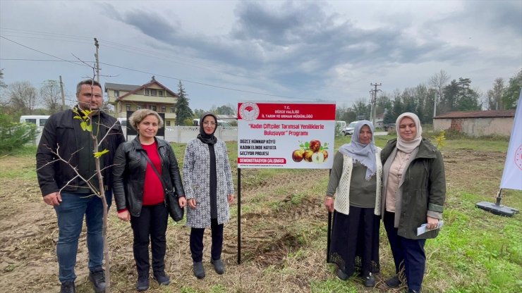 Düzce'de kadınların yetiştirdiği hünnabın ilk hasadı yapıldı