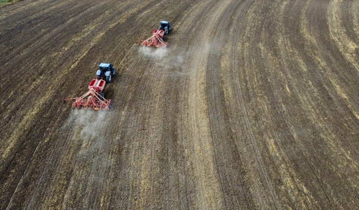 Anadolu Tarım İşletmesinin yerli tohumları çiftçiye dağıtılmak üzere toprakla buluştu