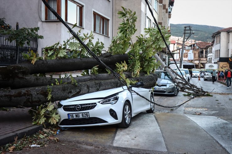 Bursa'da lodos nedeniyle ağaç ve elektrik direği araçların üzerine devrildi