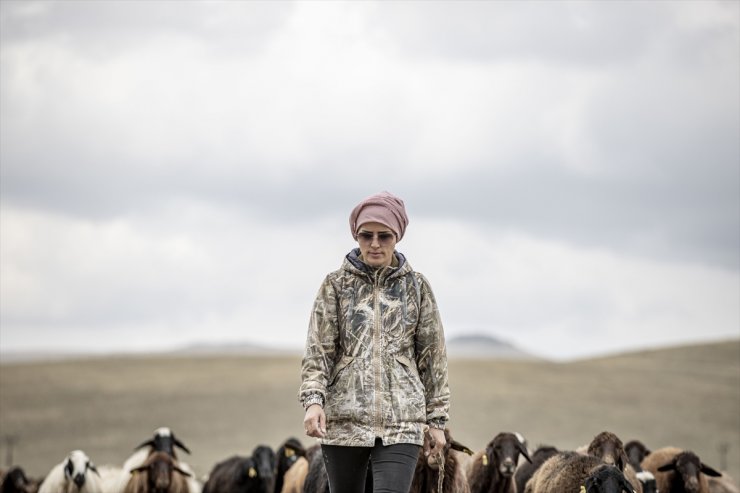 Hobi olarak 3 keçiyle hayvancılığa başlayan kadın mimar sürü sahibi oldu