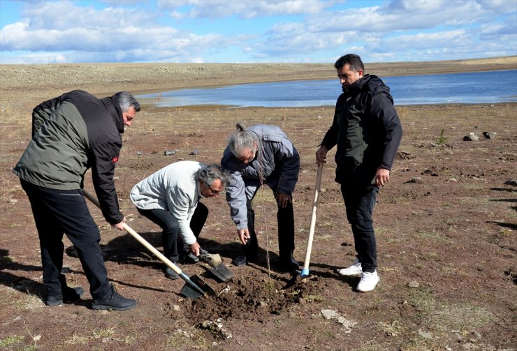 Kars'taki Asboğa Gölü çevresine yaban kuşları için 100 fidan dikildi