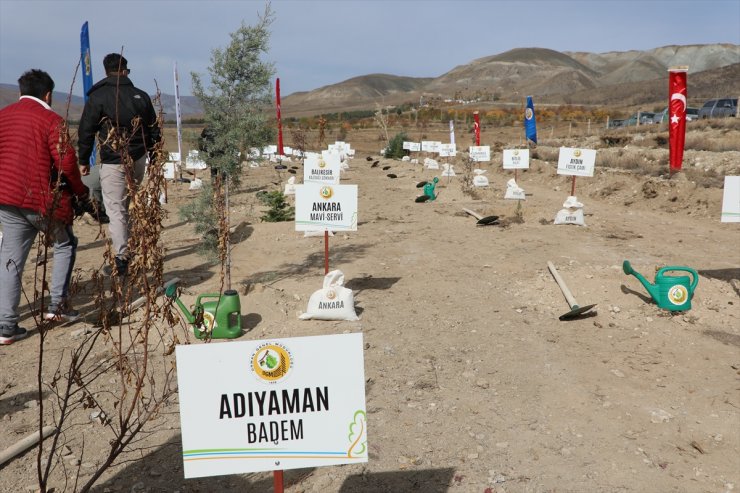 Erzincan'da 80 ilden getirilen fidan ve toprakla Cumhuriyet Ormanı oluşturuldu