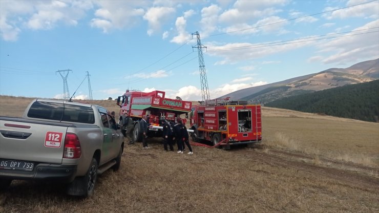 Kars'ta ormanlık alanda çıkan örtü yangını söndürüldü